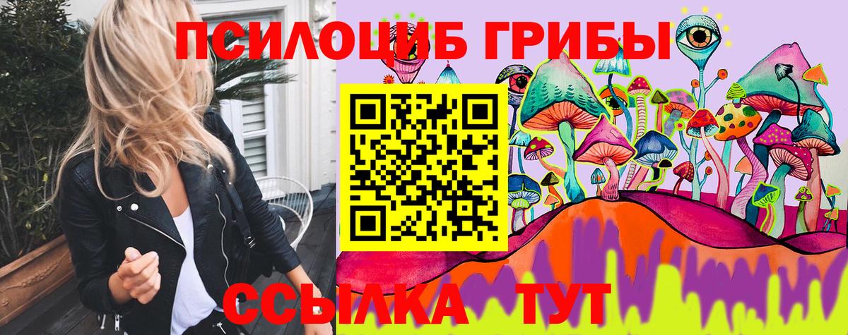 Псилоцибиновые грибы Psilocybine cubensis Кыштым